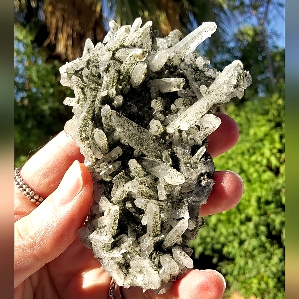 Heavily Chlorite Dusted Quartz Cluster w/ Phantoms - Collector's Grade Specimen